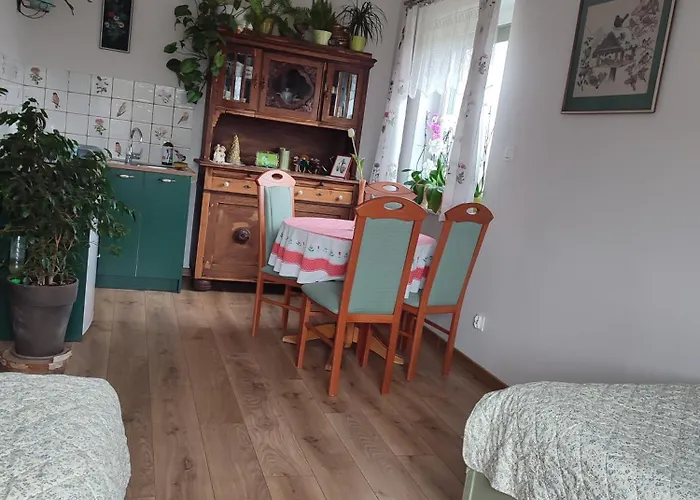 Zielona Przystan